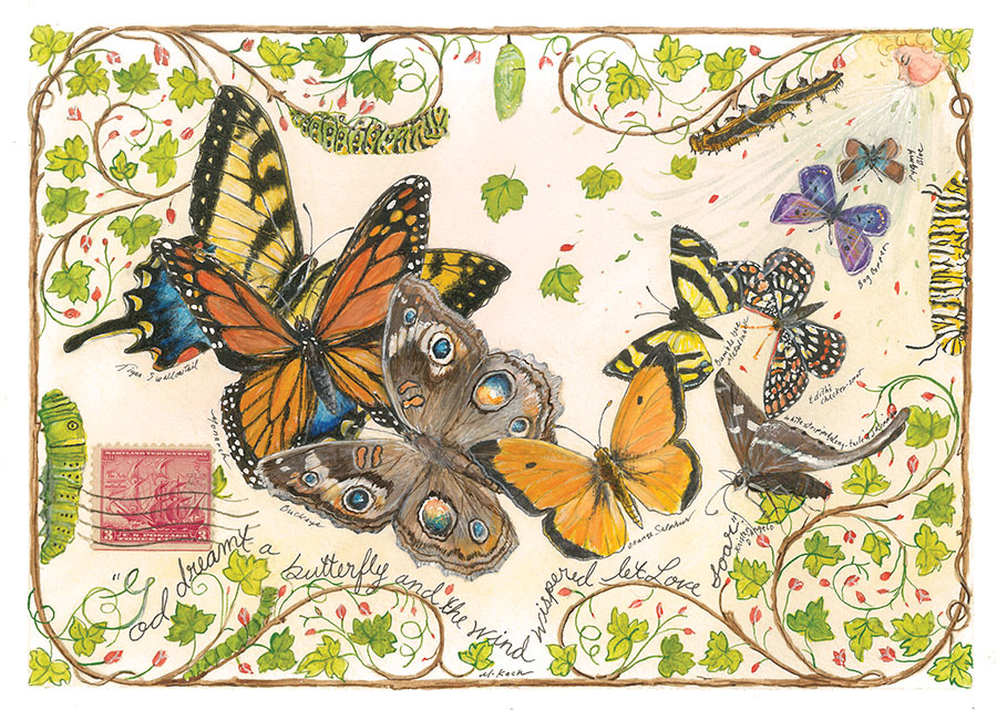 Collectible Butterfly Postcards